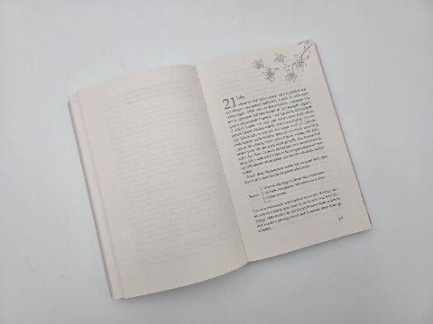 InsideView 5