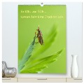 So EDEL und FEIN... können heimische Insekten sein (hochwertiger Premium Wandkalender 2025 DIN A2 hoch), Kunstdruck in Hochglanz - Karin Berger (Kabefa)