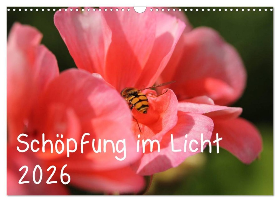 Schöpfung im Licht (Wandkalender 2026 DIN A3 quer), CALVENDO Monatskalender - Katrin Hildebrand
