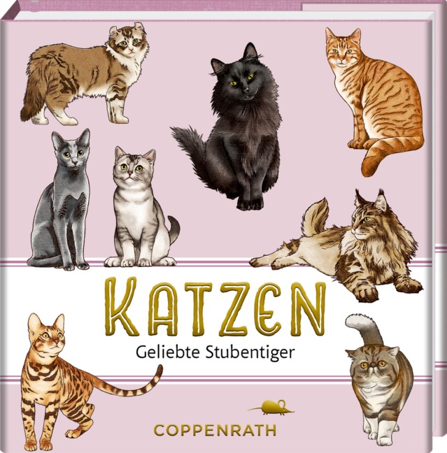 Katzen - 