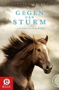 Cover-Bild zum Titel 'Gegen den Sturm' von 'Bettina Belitz'