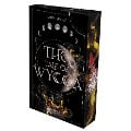 Cover-Bild zum Titel 'THE TALE OF WYCCA: Hunt (WYCCA-Reihe 2)' von 'Sandy Brandt'