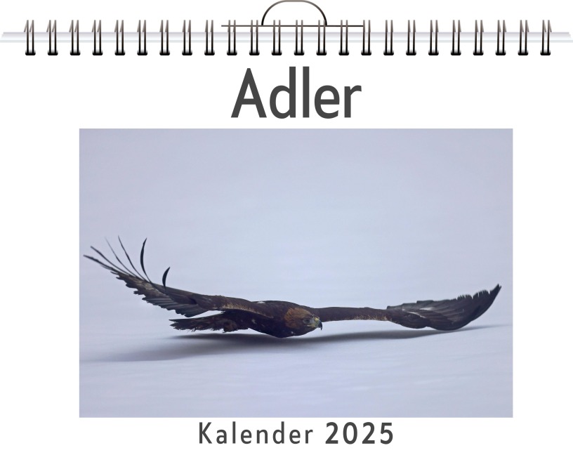 Adler - Liam Neumann
