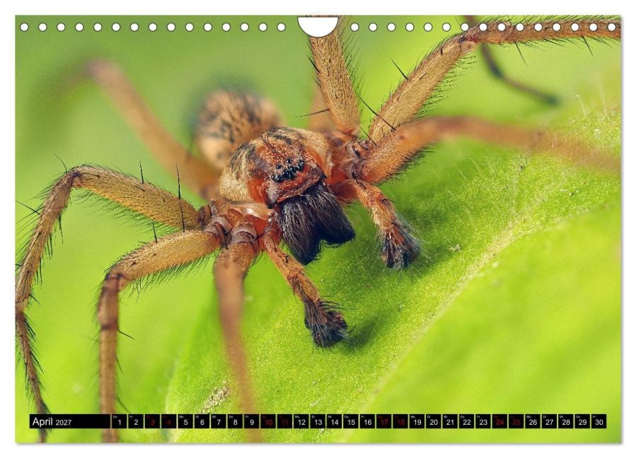 InsideView 9