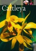 Cattleya - Jürgen Röth