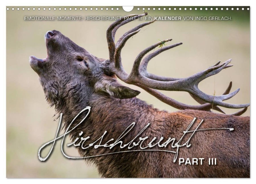 Emotionale Momente: Hirschbrunft. Part III. (Wandkalender 2025 DIN A3 quer), CALVENDO Monatskalender - Ingo Gerlach