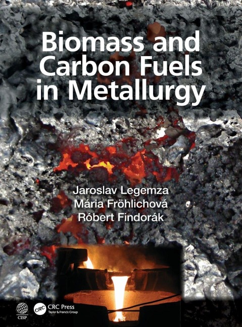Biomass and Carbon Fuels in Metallurgy - Jaroslav Legemza, Róbert Findorák, Mária Fröhlichová