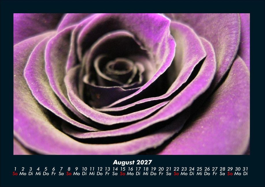 InsideView 12