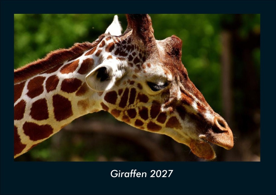 Giraffen 2027 Fotokalender DIN A4 - Tobias Schmitt, Kevin Heber