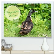 Cover-Bild zum Titel 'Faszination Enten (hochwertiger Premium Wandkalender 2026 DIN A2 quer), Kunstdruck in Hochglanz' von 'Babett Paul - Babetts Bildergalerie'