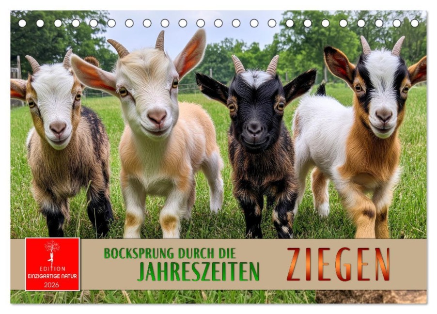 Ziegen - Bocksprung durch das Jahr (Tischkalender 2026 DIN A5 quer), CALVENDO Monatskalender - Peter Roder