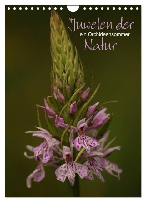 Juwelen der Natur - Ein Orchideensommer (Wandkalender 2026 DIN A4 hoch), CALVENDO Monatskalender - Dirk Stamm