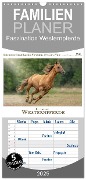 Familienplaner 2025 - Faszination Westernpferde mit 5 Spalten (Wandkalender, 21 x 45 cm) CALVENDO - Martina Wrede - Wredefotografie