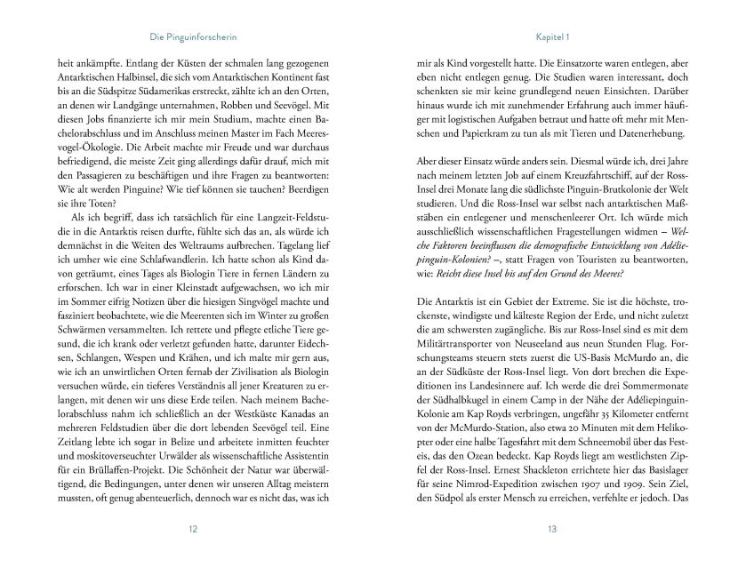 InsideView 5