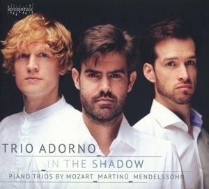 In the Shadow - Trio Adorno