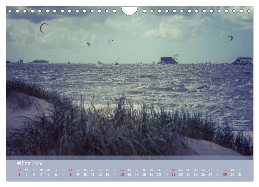 InsideView 8