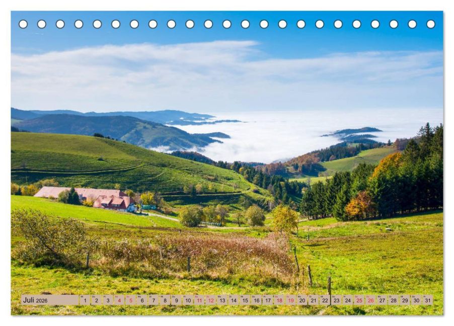 InsideView 12