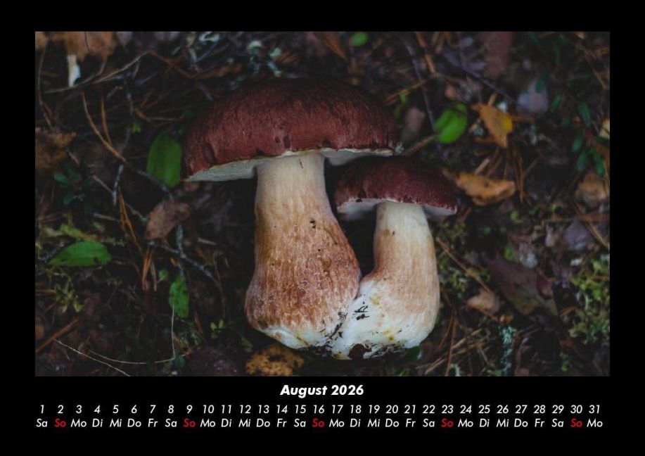 InsideView 12