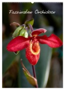 Cover-Bild zum Titel 'Faszination Orchideen (Wandkalender 2026 DIN A2 hoch), CALVENDO Monatskalender' von 'Veronika Rix'