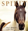 Cover-Bild zum Titel 'Spirit' von 'Anouska Jones'