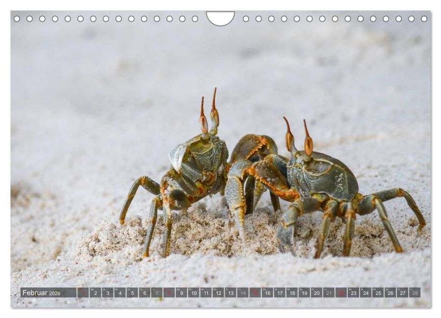 InsideView 7