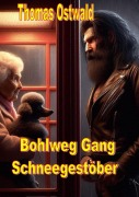 Cover-Bild zum Titel 'Bohlweg Gang - Schneegestöber' von 'Thomas Ostwald'