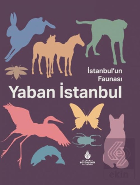 Istanbulun Faunasi Yaban Istanbul Ciltli - Kolektif