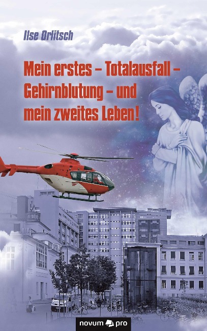 Mein erstes - Totalausfall - Gehirnblutung - und mein zweites Leben! - Ilse Orlitsch