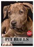 Pit Bulls und Freunde (Wandkalender 2025 DIN A2 hoch), CALVENDO Monatskalender - Elisabeth Stanzer