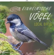 Einheimische Vögel 2026 - Broschürenkalender 30x30 cm (30x60 geöffnet) - Kalender mit Platz für Notizen - Birds - Bildkalender - Wandkalender - Vogelkalender - 