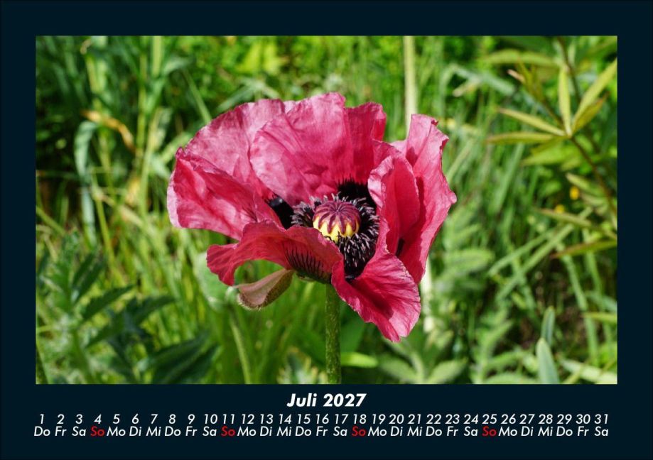 InsideView 11