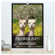 Alpakas zum Verlieben (hochwertiger Premium Wandkalender 2026 DIN A2 hoch), Kunstdruck in Hochglanz - Heidi Rentschler