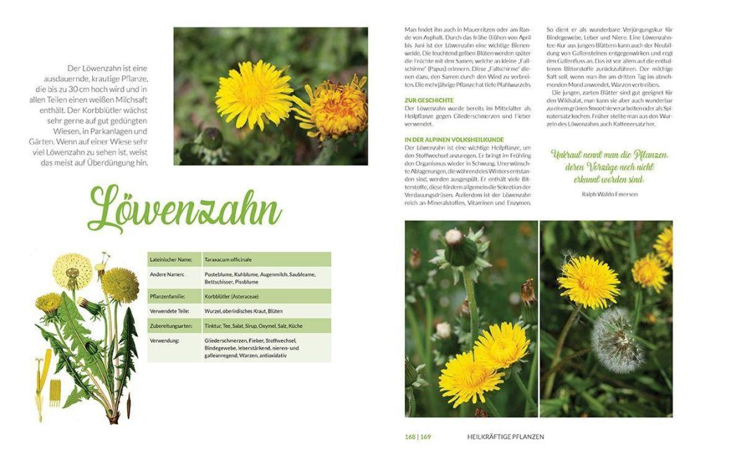 InsideView 3