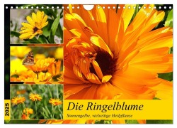 Die Ringelblume. Sonnengelbe, vielseitige Heilpflanze (Wandkalender 2025 DIN A4 quer), CALVENDO Monatskalender - Rose Hurley