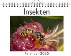 Cover-Bild zum Titel 'Insekten - (Wandkalender 2025, Kalender DIN A4 quer, Monatskalender im Querformat mit Kalendarium, das perfekte Geschenk)' von 'Elias Becker'