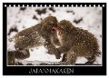Japanmakaken (Tischkalender 2024 DIN A5 quer), CALVENDO Monatskalender - Thomas Schwarz Fotografie