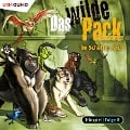 Das wilde Pack im Schattenreich - André Marx, Boris Pfeiffer