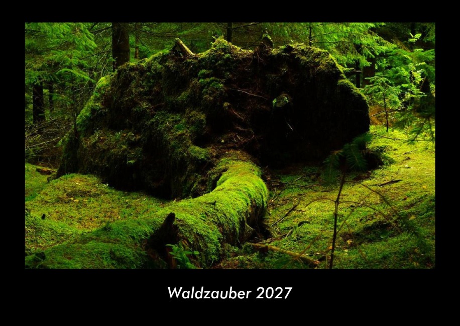 Waldzauber 2027 Fotokalender DIN A3 - Tobias Schmitt, Kevin Heber