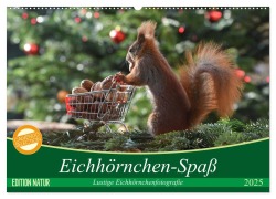 Eichhörnchen-Spaß (Wandkalender 2025 DIN A2 quer), CALVENDO Monatskalender - Heike Adam