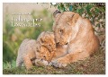 Emotionale Momente: Liebenswerte Löwenbabys / CH-Version (Wandkalender 2025 DIN A3 quer), CALVENDO Monatskalender - Ingo Gerlach GDT