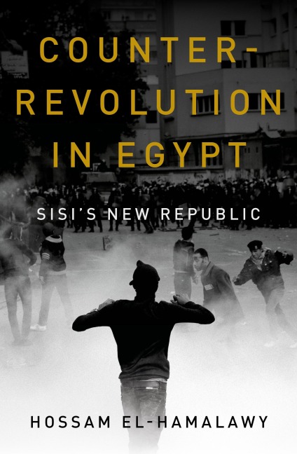 Counterrevolution in Egypt - Hossam El-Hamalawy