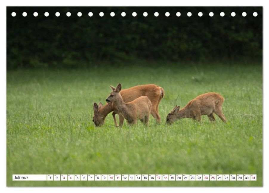 InsideView 12
