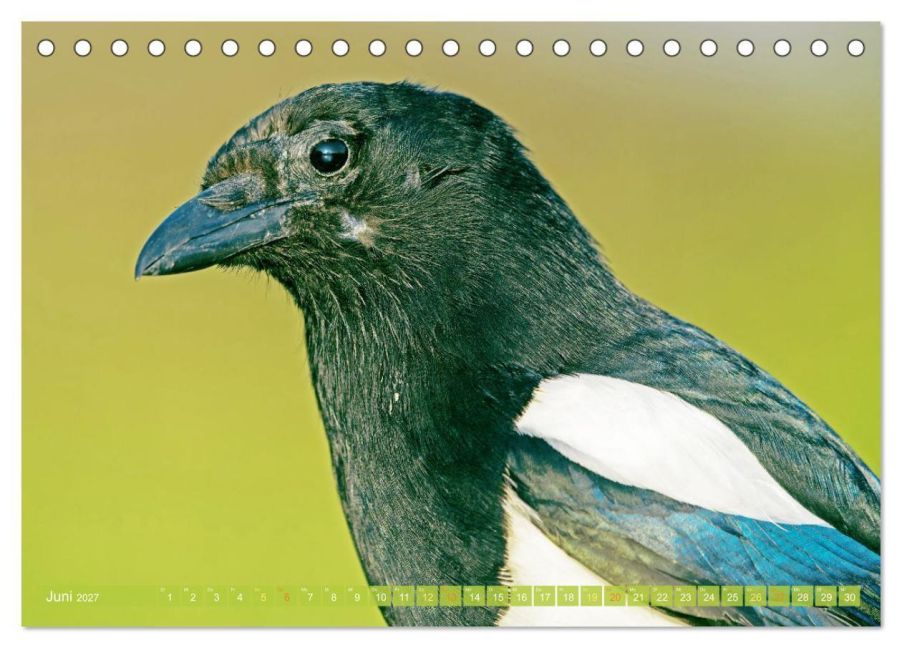 InsideView 11