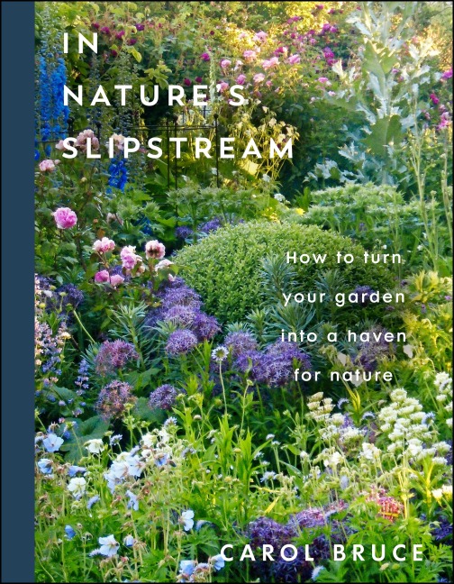 In Nature's Slipstream - Carol Bruce