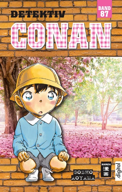 Detektiv Conan 87 - Gosho Aoyama