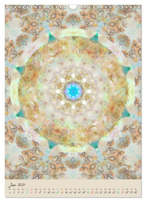 InsideView 11