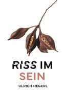 Cover-Bild zum Titel 'Riss im Sein' von 'Ulrich Hegerl'