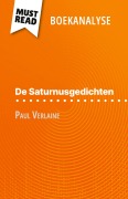 Cover-Bild zum Titel 'De Saturnusgedichten van Paul Verlaine (Boekanalyse)' von 'Sophie Chetrit'