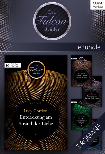 Die Falcon-Brüder - 5-teilige Serie - Lucy Gordon
