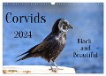 Corvids - Black and Beautiful (Wall Calendar 2024 DIN A3 landscape), CALVENDO 12 Month Wall Calendar - Kathrin Voss
